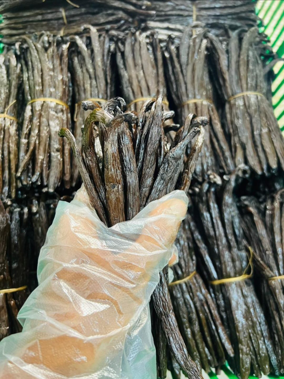 Bouquet de gousses de vanille Bourbon Madagascar Olivanille
